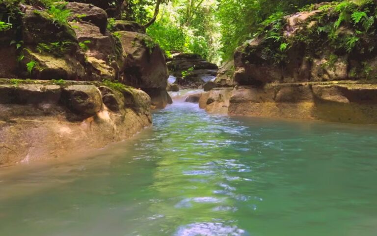 xr:d:DAFnC0gh1Mg:478,j:1305318111828572395,t:23081816