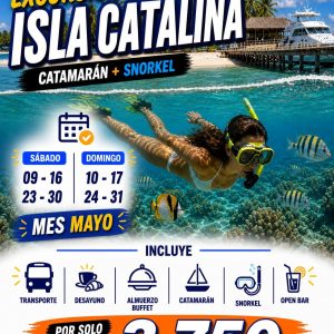 Excursión Isla Catalina + Catamarán y Snorkel – Precio por Persona